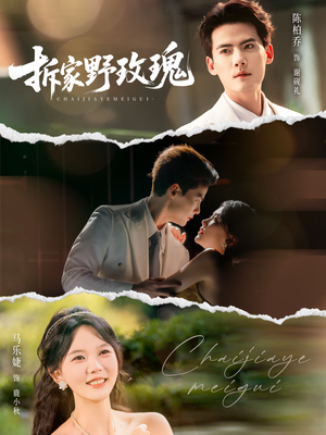 拆家野玫瑰（80集）大结局太过瘾了