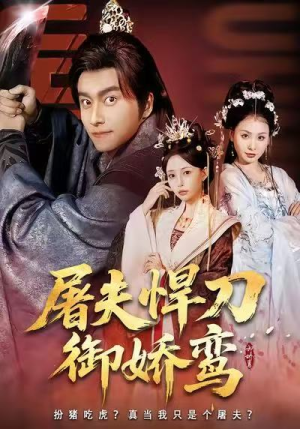 屠夫悍刀御娇鸾（81集）全季一次看完