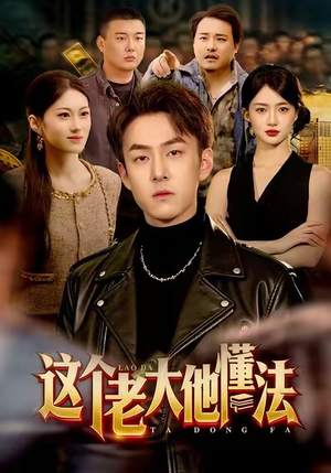 这个老大他懂法(100集) 这个老大他懂法(100集)短剧完整版免费