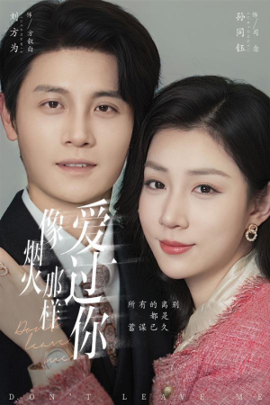 像烟火那样爱过你（62集）在线看到大结局