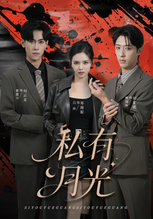 私有月光（78集）全集免费观看