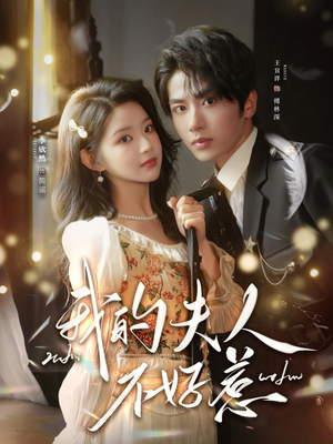 你好,我的旅长夫人(60集) 你好,我的旅长夫人(60集)免费在线看全集