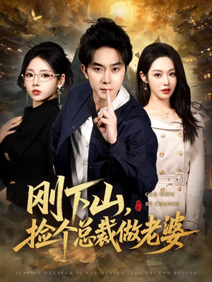 刚下山捡个总裁做老婆（80集）热播短剧全集看