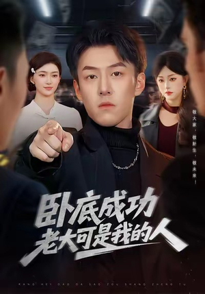 卧底成功老大可是我的人（99集）全集在线看