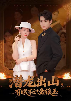 潜龙出山有眼不识金镶玉（78集）熬夜追短剧