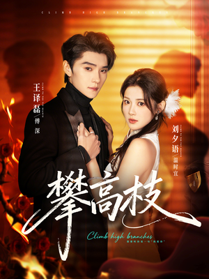 攀高枝（70集）精彩短剧热播中