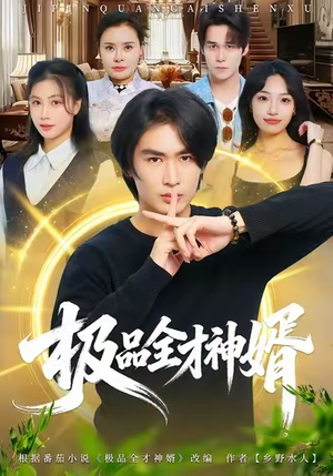 极品全才神婿（67集）夸克在线观看