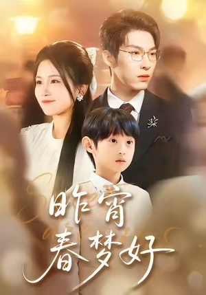 昨宵春梦好（90集）全剧免费观看