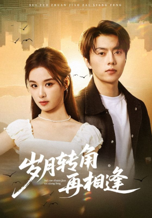岁月转角再相逢（80集）最新火爆短剧
