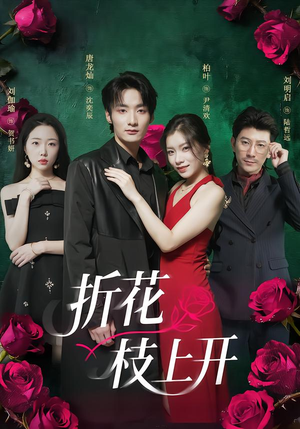 折花枝上开（51集）海量资源免费看