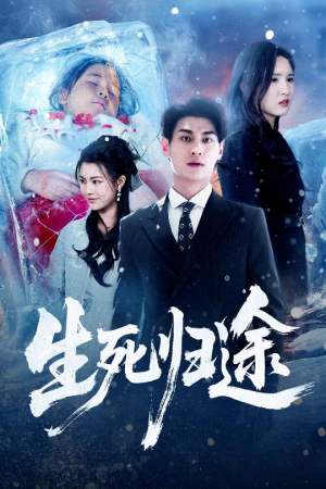 生死归途(50集) 生死归途(50集)免费短剧资源