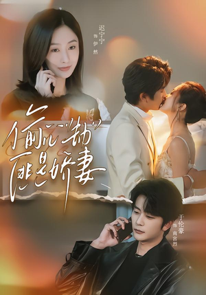 偷心劫匪是娇妻（61集）口碑爆棚免费看