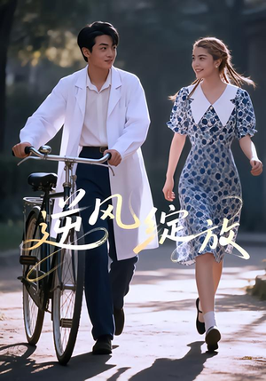 逆风绽放（55集）好看的短剧来了