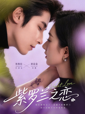 紫罗兰之恋（82集）好看短剧看不停