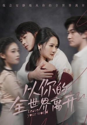 从你的全世界离开（71集）追短剧关注我