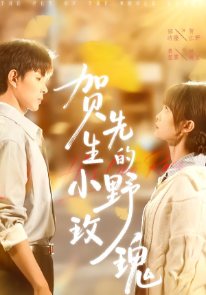 贺先生的小野玫瑰(99集) 贺先生的小野玫瑰(99集)短剧有好货推荐