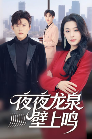 夜夜龙泉壁上鸣（63集）我全都看完了