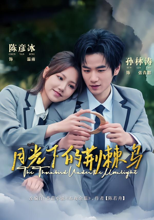 月光下的荆棘鸟（80集）短剧片段分享