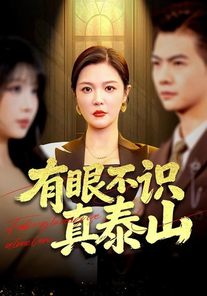 有眼不识真泰山（75集）免费看