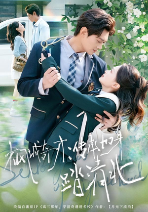 枫城奇才：传承加身踏清北（80集）一起看短剧