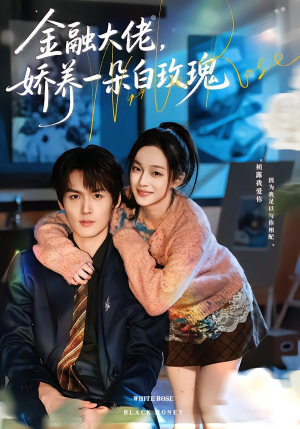金融大佬，娇养一朵白玫瑰（70集）在线免费观看