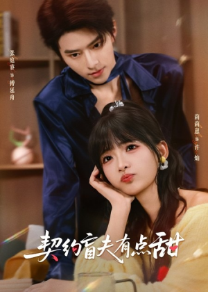 契约盲夫有点甜（63集）免费短剧大全