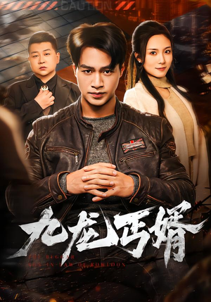 九龙丐婿（81集）在线播放