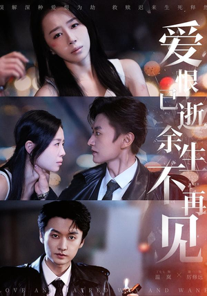 爱恨已逝，余生不再见（68集）精彩短剧后续