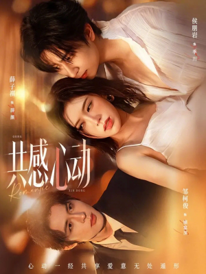 共感心动（66集）全集我都看完了