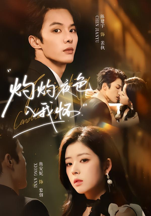 灼灼夜色入我怀（60集）一起追短剧