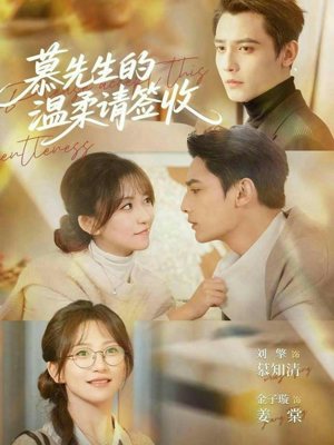 慕先生的温柔请签收（90集）解说