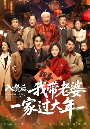 入赘后，我带老婆一家过大年（60集）好看又上头短剧