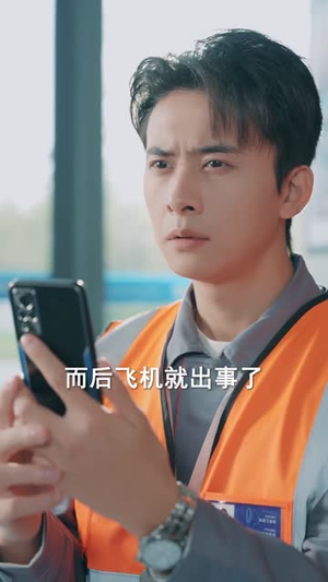 停飞后，我的航班坠毁了（100集）解说文案