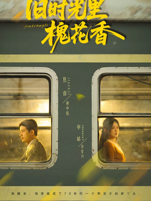 旧时光里槐花香（70集）短剧每日分享