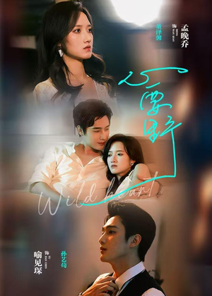 心要野（62集）更新时间