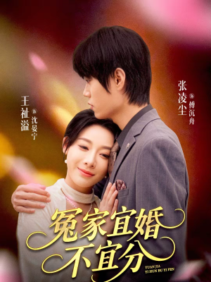 冤家宜婚不宜分（80集）好看短剧又来了