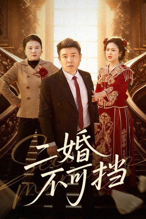 二婚不可挡（36集）免费短剧看不停