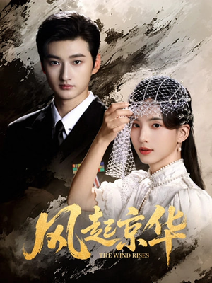 风Q京华(60集) 风Q京华(60集)看短剧放松一下