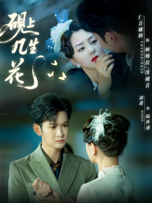 砚上几生花（62集）80到100集