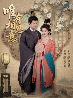 唯有相思意（100集）解说