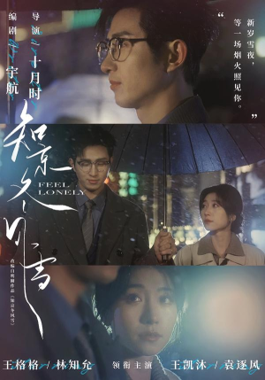 知京冬风雪（68集）女主谁演的