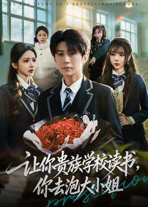 让你贵族学校读书，你去泡大小姐（71集）夸克网盘观看
