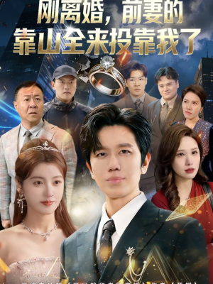 离婚,前妻的靠山全来投靠我了(80集) 离婚,前妻的靠山全来投靠我了(80集)短剧追不停