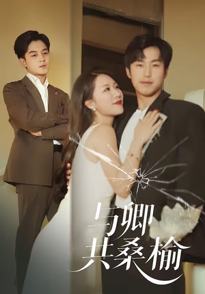 与卿共桑榆(63集) 与卿共桑榆(63集)精彩短剧追不停