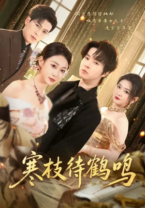 寒枝待鹤鸣（70集）夸克网盘在线看