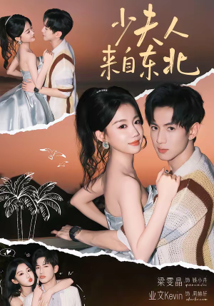 少夫人来自东北(80集) 少夫人来自东北(80集)真的好看吗