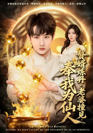 赘婿炼丹，老婆撞见，奉我为仙人（59集）经典回顾免费看