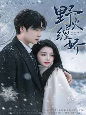 野火缠娇（66集）免费版