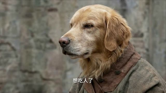 教书五年,我教出满门妖神(66集) 教书五年,我教出满门妖神(66集)在线观看全集