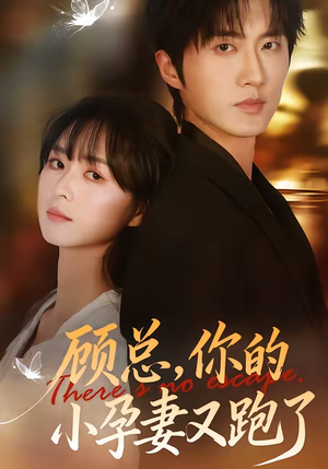 顾总，你的小孕妻又跑了（47集）短剧分享剧集